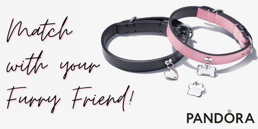 NEW Pandora Pet Collars! 🐾 💎