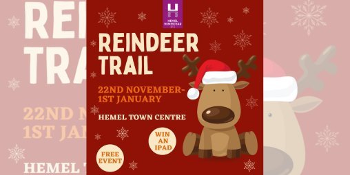 REINDEER TRAIL 🦌