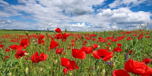 2 Minute Silence ❤️