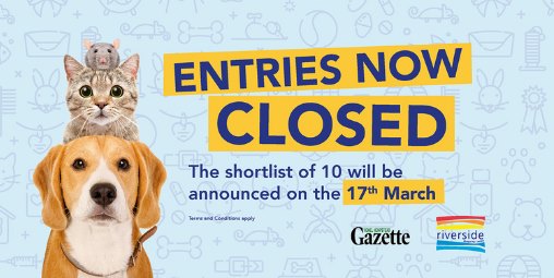 Entries are now closed for Prettiest Pet Competition  ❌